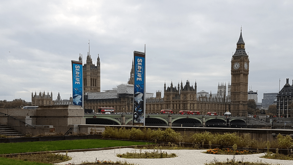 Flights to the United Kingdom
